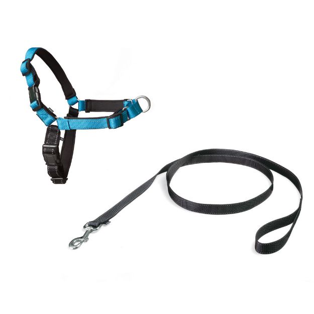 PetSafe Deluxe Easy Walk Harness Mavi Köpek Göğüs Tasması Small 38-51 cm resmi