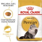 Picture of Royal Canin Persian Kedi Maması 4Kg