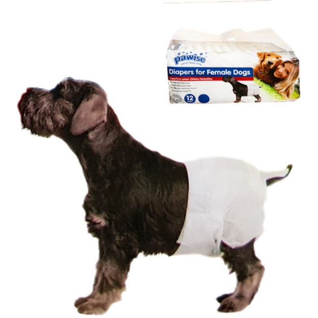 Picture of Pawise Köpek Alt Bağlama Bezi S Boy 12 Adet