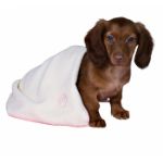 Picture of Trixie Yavru Köpek Seti, Dişi, Pembe