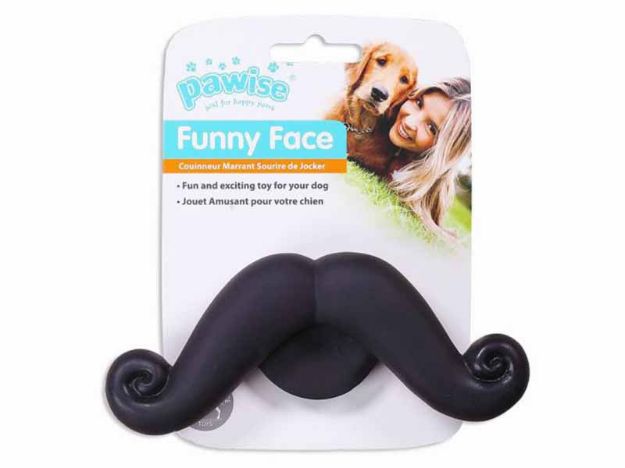 Picture of Pawise Vinyl Toy-Beard Köpek Oyuncağı