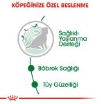 Picture of Royal Canin Mini Ageing Küçük Irk Yaşlı Köpek Pouch Konserve 85 gr