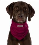 Picture of Trixie Haşere Kovucu Köpek Bandanası Medıum