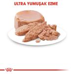 Picture of Royal Canin Babycat İnstinctive Yavru ve Anne Kediler için Konserve 195Gr