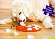 Picture of Outward Hound Smart Interactive Treat Puzzle Köpek Oyuncağı, Turuncu-67331M
