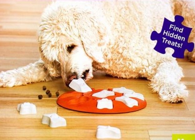 Outward Hound Smart Interactive Treat Puzzle Köpek Oyuncağı, Turuncu-67331M resmi