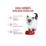 Picture of Royal Canin Kitten Yavru Kedi Maması 400Gr
