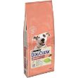 Picture of Dog Chow Sensitive Somonlu Yetişkin Köpek Maması 14 Kg