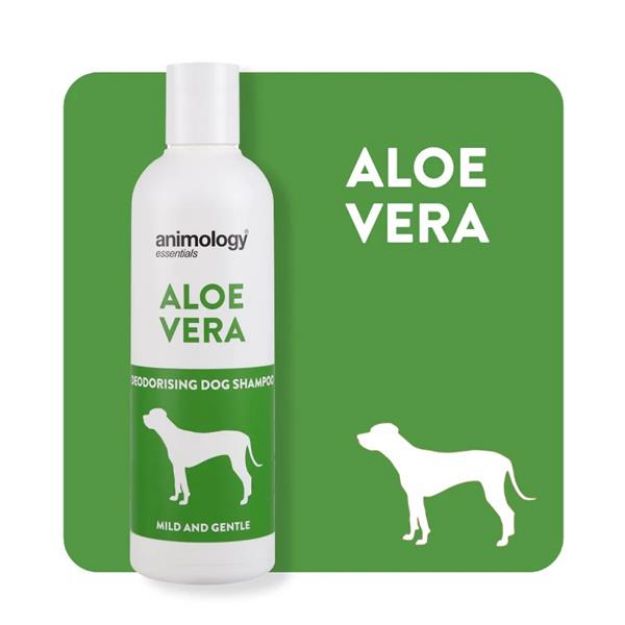 Animology Essentials Aloe Vera Shampoo Köpek Şampuanı 250 ML resmi