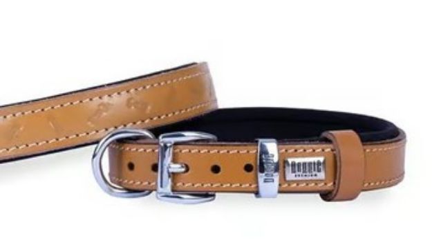 Picture of Konfor Deri Kemik Desenli Boyun Tasması Kamel3,5x52-60cm Sbt3535lcamel