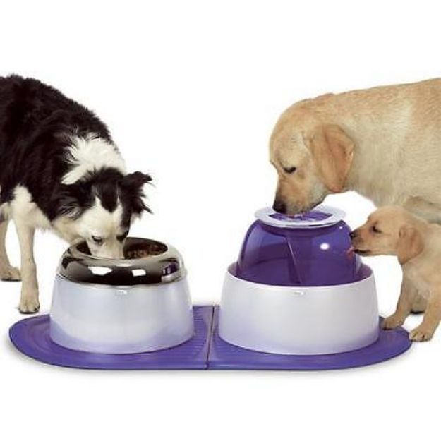 Picture of Hagen Dog İt Su ve Mama İstasyonu 700-73645