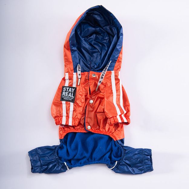Picture of Pawstar Orange-Navy Blue Bicolor Big I 3xl