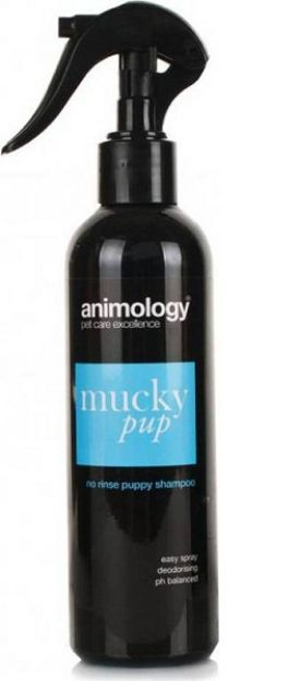 Picture of Animology Durulama Gerektirmeyen Köpek Spreyi 250 ml.