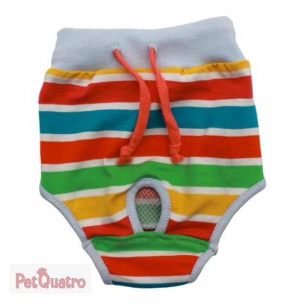 Pawstar Striped Underwear No 3 23062-3 resmi