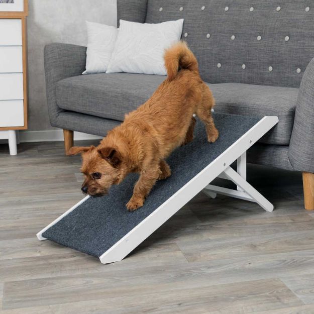 Trixie Köpek Ve Kedi Rampası Yükseklik Ayarlı resmi