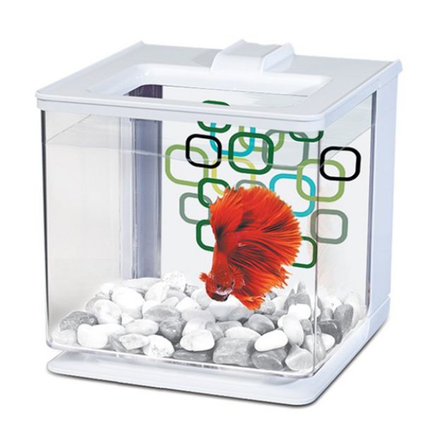 Picture of Marina Beta Seti Ez Care Aqua Beyaz 2,5 Lt 700-13357
