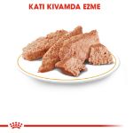 Royal Canin Persian İran Kedilerine Özel Kedi Konservesi 85 gr resmi