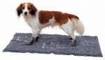 Trixie Köpek Paspası Süper Emici 100 X 70 Cm Gri resmi