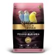 Gold Wings Premium Yavru Muhabbet Kuşu Yemi 1 kg resmi