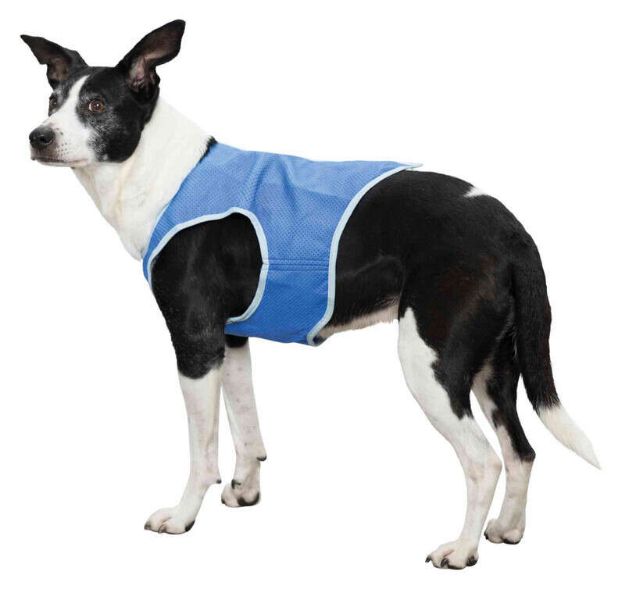 Trixie Köpek Soğutucu Yelek, M : 30cm, Mavi resmi