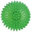 Trixie Termoplastik Köpek Kauçuk Kirpi Oyuncak 12 cm resmi