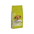 Picture of Dog Chow Kuzu Etli Yetişkin Köpek Maması 14 Kg