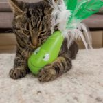 Trixie Kedi Oyuncağı Otomatik Titreşimli 6 Cm resmi