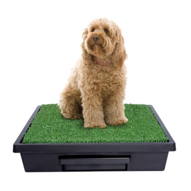 Picture of Pet Loo Köpek Tuvaleti Orta Boy 63 cm x 63 cm