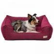 Pet Comfort Alpha Mirandus 33 Köpek Yatağı L 70 x 90 Cm resmi