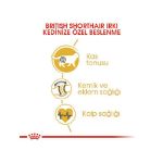 Picture of Royal Canin British Shorthair Kedi Maması 10 kg