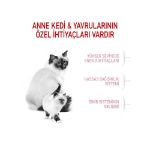 Picture of Royal Canin Babycat Yavru Kedi Maması 4Kg