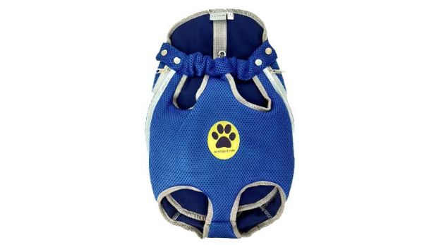 Lavista Pet Ana Kucağı Kedi ve Köpek Taşıma Mavi L resmi