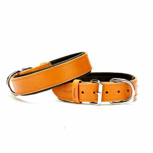 Konfor Deri Boyun Tasması Kamel 3,5x52-60cm Sbt3510lcamel resmi