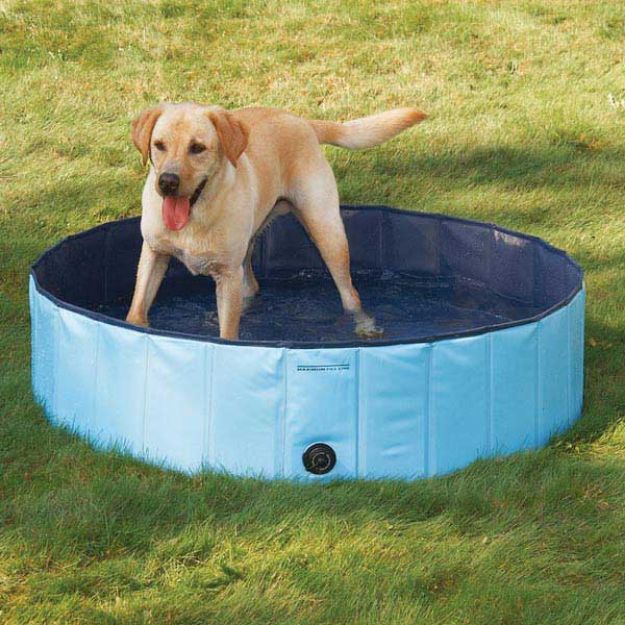 Trixie Köpek Yüzme Havuzu Çap 120 cm resmi