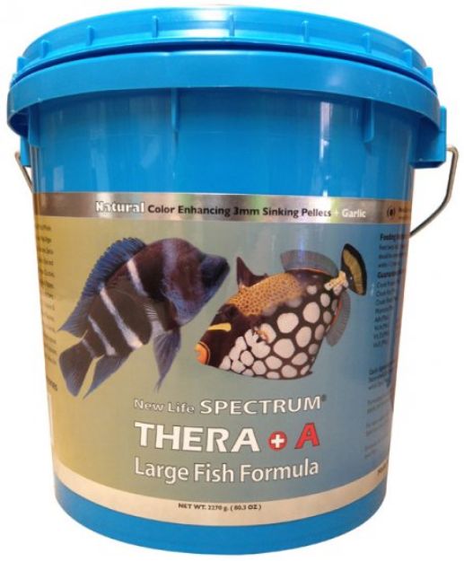 Picture of New Life Spectrum Therea +A Large Fish Formula Sarımsaklı Balık Yemi 2 kg