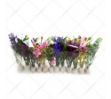 Picture of Atlantik Pet Akvaryum Dekor Plastik Bitki