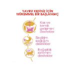 Picture of Royal Canin Kitten British Shorthair Yavru Kedi Maması 2Kg