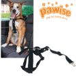 Picture of Pawise Emniyet Kemeri Tokalı Köpek Tasması XLarge 80-110 cm