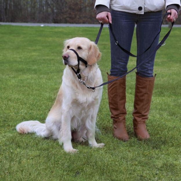 Picture of Trixie Uzman Köpek Eğitim Tasması S 22 cm