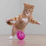 Trixie Kedi Oyuncağı Otomatik Sesli Yumurta 7 Cm resmi