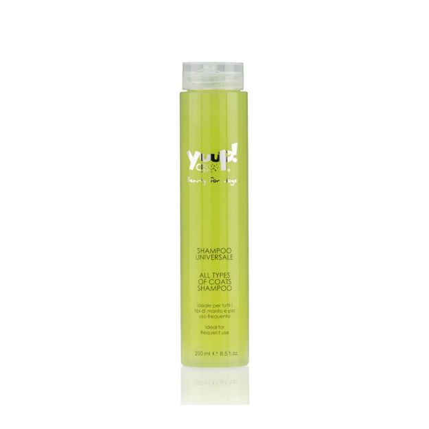 Picture of Yuup Her Tüy Rengine Uygun Şampuan 250 Ml