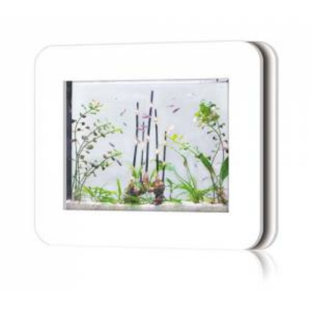 Haqos Çerçeve Akvaryum Beyaz(57X50X7,5 Cm) X10B resmi