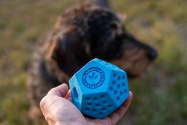 Picture of Kiwi Walker Dayanıklı Yüzen Köpek Oyuncağı Dodecaball Midi Mavi