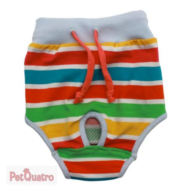 Picture of Pawstar Striped Underwear No 1 23062-1