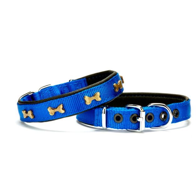 Picture of Doggie Kemik Metal Süslü Softlu Köpek Boyun Tasması Mavi DSBT-2062 S