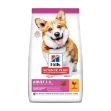 Hills Adult Small & Mini Tavuklu Yetişkin Köpek Maması 6 Kg resmi
