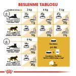 Picture of Royal Canin Persian Kedi Maması 4Kg