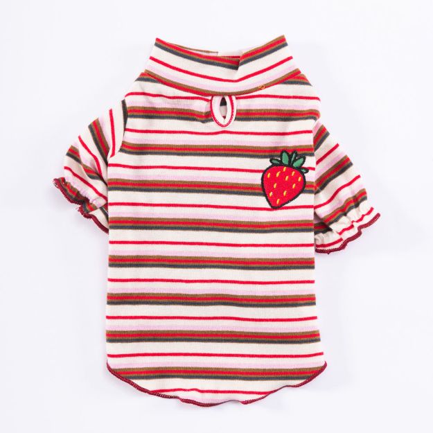 Picture of Pawstar Fragola Sweat XL