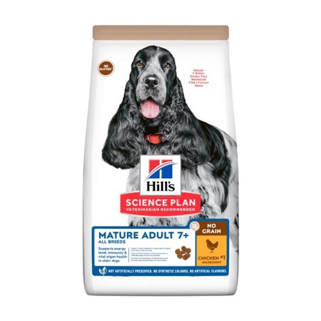 Picture of Hills Tahılsız Orta Irk Tavuklu Yaşlı Köpek Maması 12 Kg