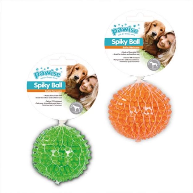 Picture of Pawise Lastik Top Dikenli 12,5 Cm Çap